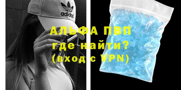 индика Пересвет