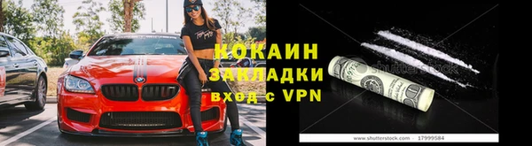 индика Пересвет