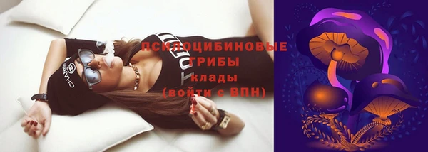 индика Пересвет