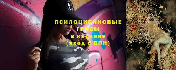 индика Пересвет