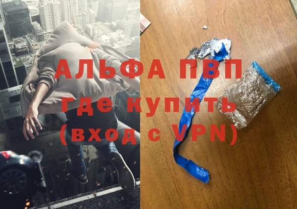 индика Пересвет